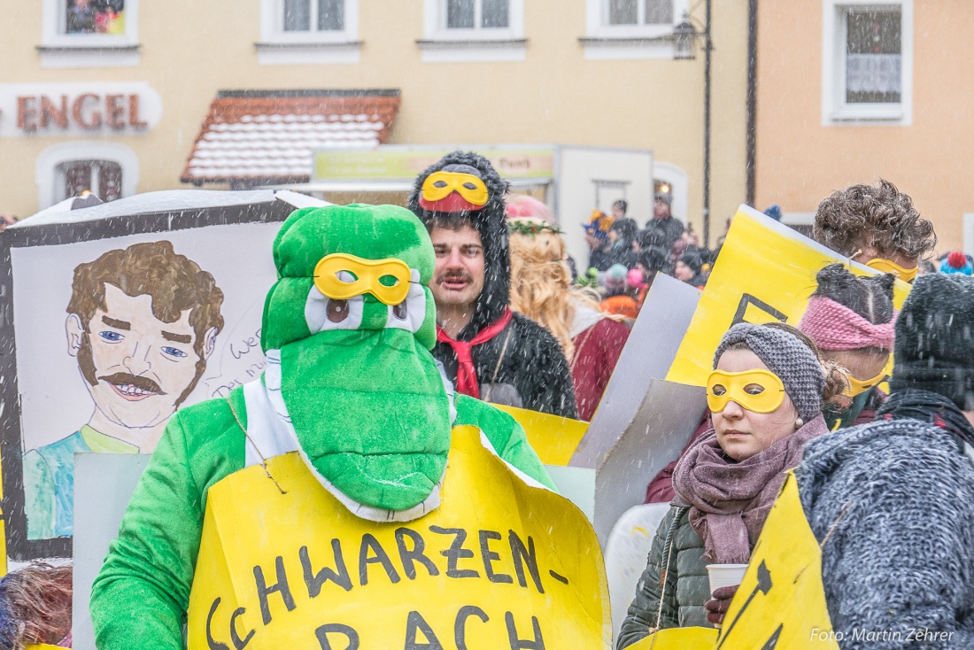 Foto: Martin Zehrer - Gaudi, Gaudi, Gaudi!!! Faschingszug des WCV durch Waldeck am 11. Februar 2018!  