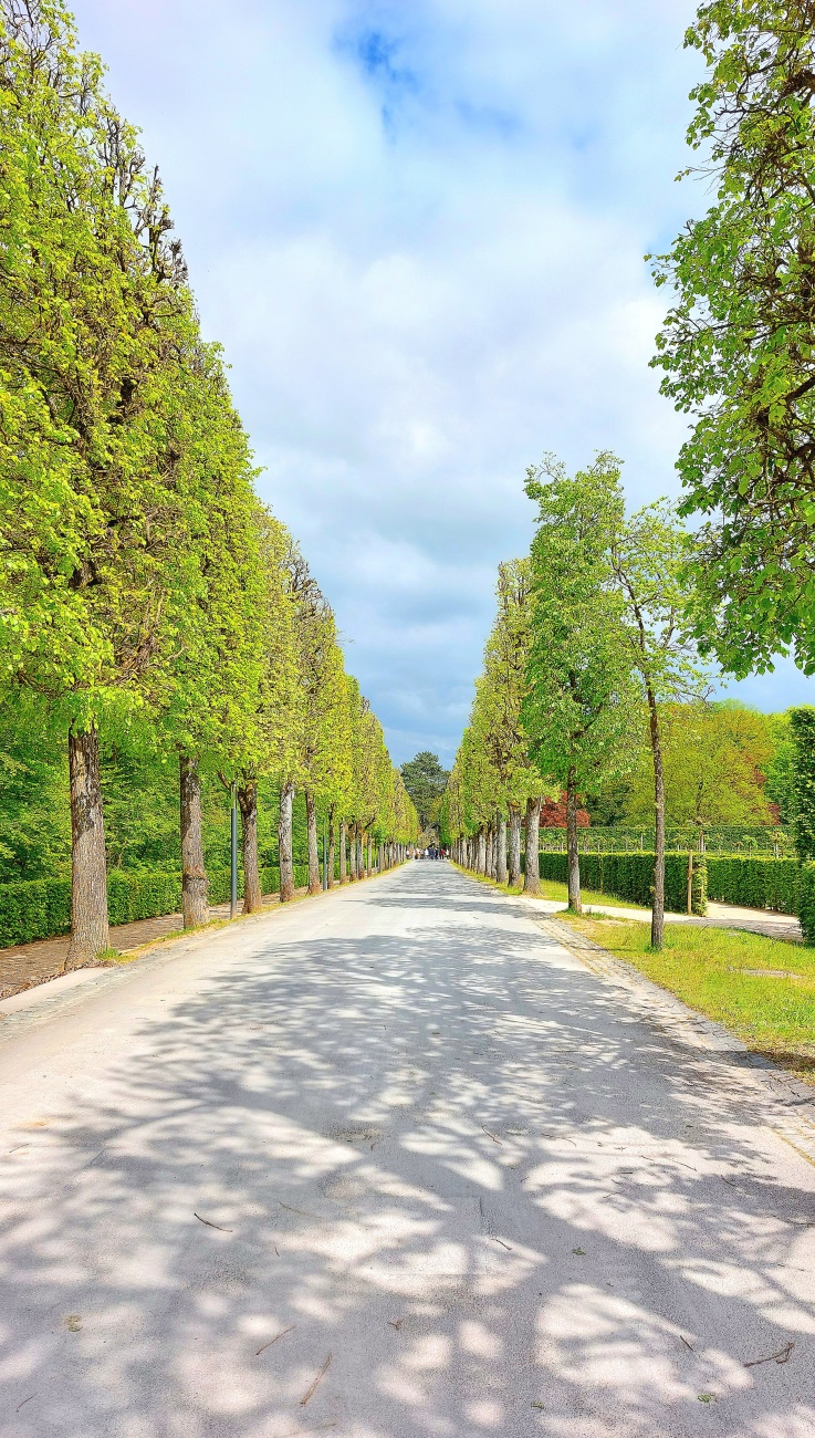 Foto: Martin Zehrer - Eremitage Bayreuth - wunderschöner Park, muß man gesehen haben... 