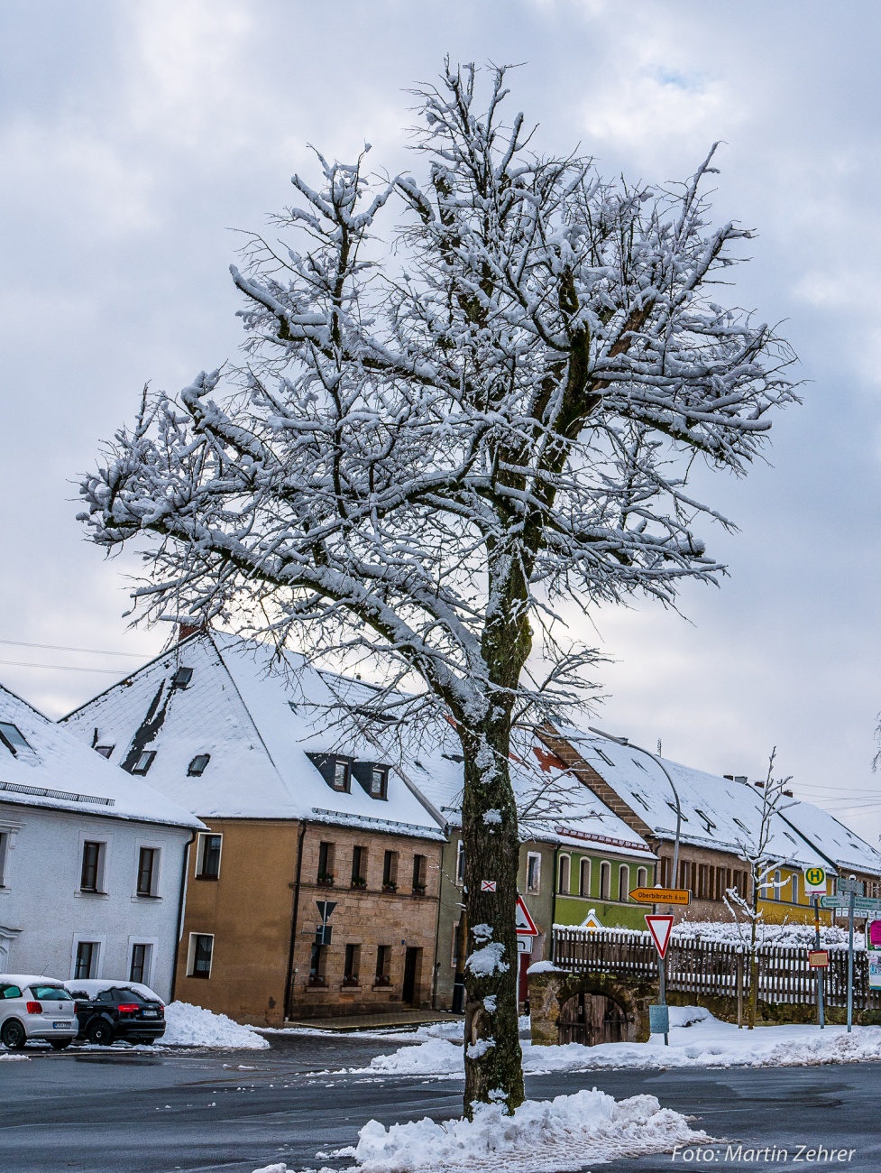 Foto: Martin Zehrer - Ein Baum im Winter mitten auf einer Kreuzung in Neustadt am Kulm. 