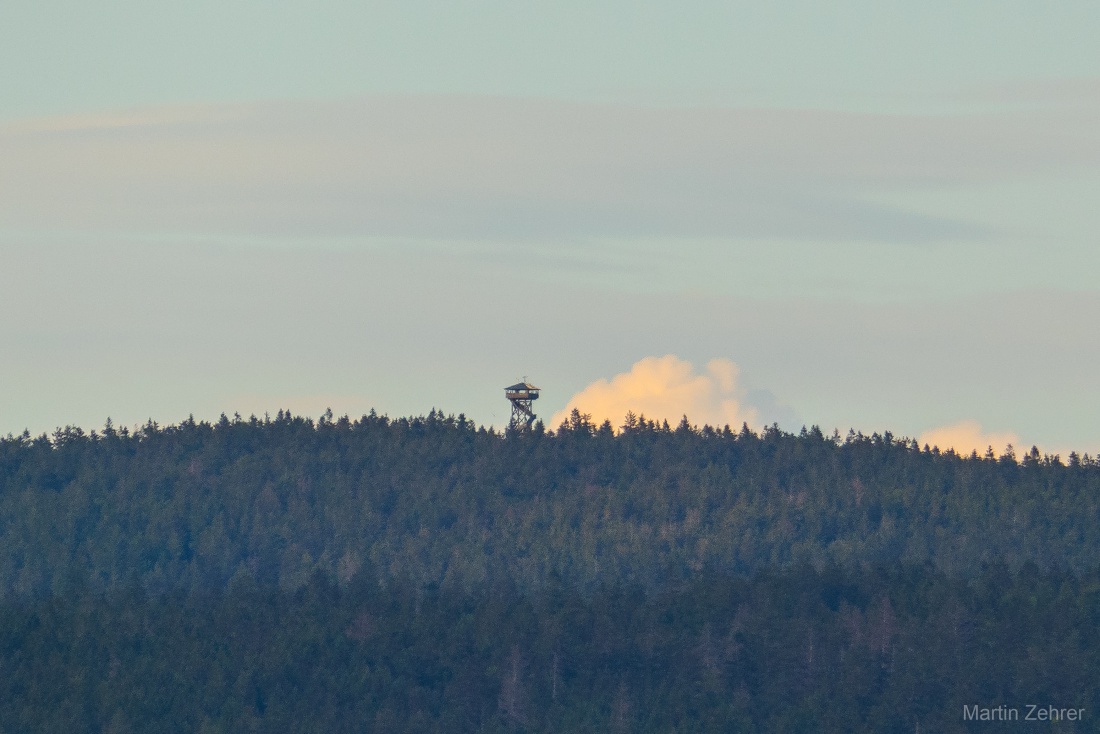 Foto: Martin Zehrer - Der Oberpfalzturm im Steinwald... von Godas aus gesehen! 