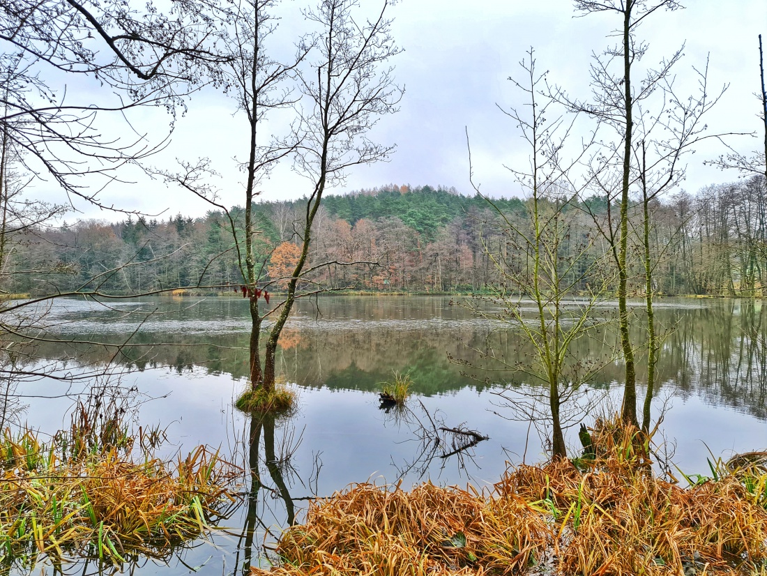 Foto: Jennifer Müller - Wandern um Kemnath 