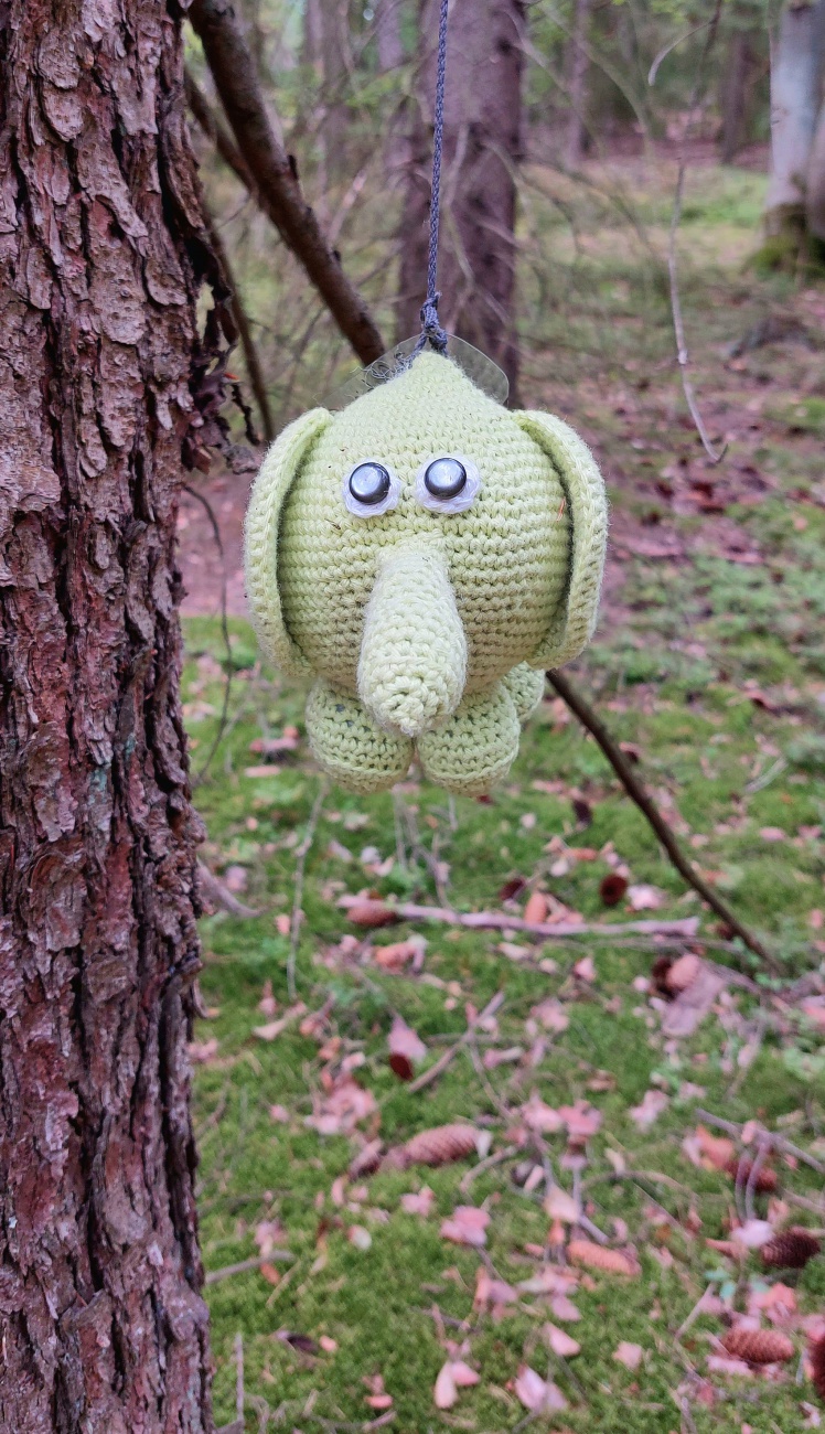 Foto: Martin Zehrer - Gesehen beim Aufstieg durch den Wald, zur Gänskopfhütte hinauf. 