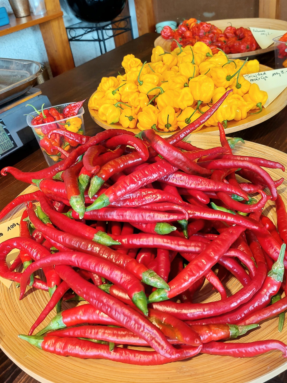 Foto: Martin Zehrer - Chili-Fest in Neusorg - Sehr viele fröhliche Besucher, tolle Auswahl an besonderen Chili-Leckereien und tolles Wetter... ein wunderschönes Fest! 