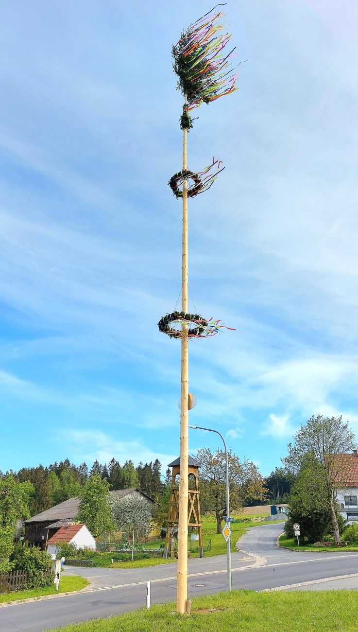 Foto: Martin Zehrer - Die Godaser haben einen sehr schönen Maibaum aufgestellt!!!<br />
Tags zuvor, Nachts um ca. 2:00 Uhr wurde der Baum von einer Gruppe findiger Menschen (Altensteinreuther, Lösc 