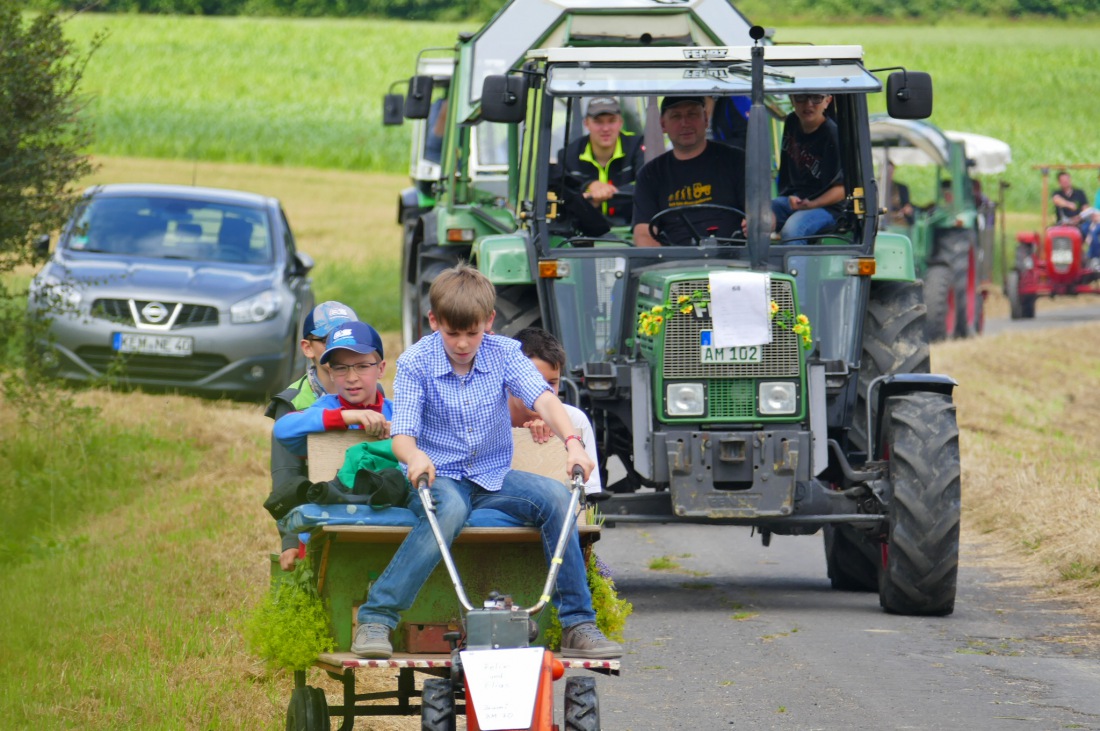 Foto: Martin Zehrer - Traktortreffen 2016 in Oberwappenöst<br />
Trotz Regen am Vormittag kamen an diesem Sonntag ca. 120 Oldtimer-Bulldogs und unzählige Besucher. Zum Mittag hin klarte das Wetter  