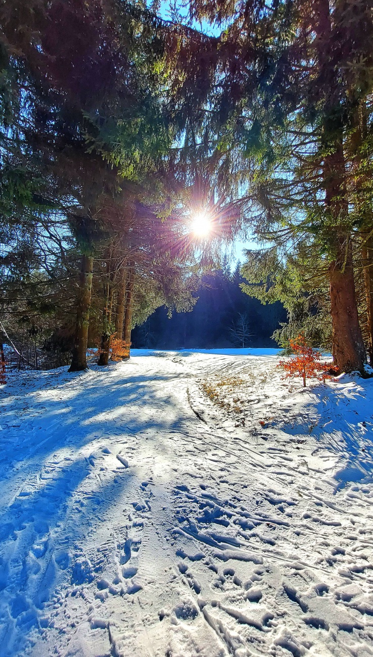 Foto: Martin Zehrer - Märchenhaftes Winterwetter oben, am Bayreuther Haus... <br />
Am Lift von Mehlmeisel war reger Ski-Betrieb, weiter unten gabs grüne Wiesen... 