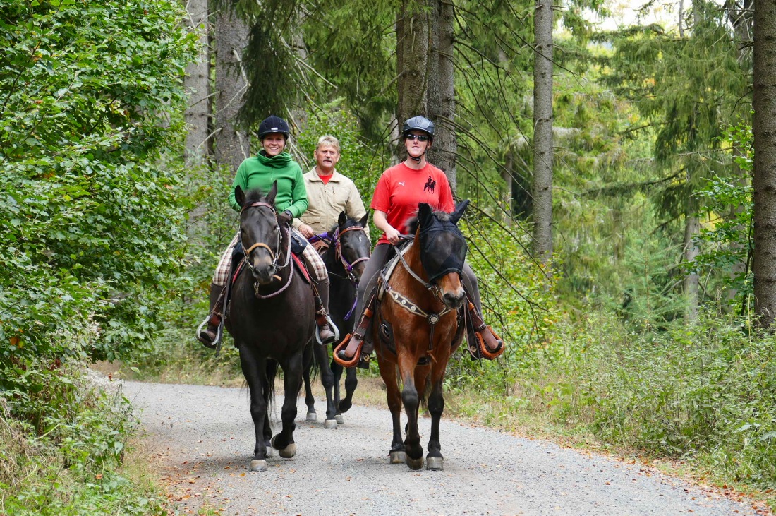 Foto: Martin Zehrer - Wandern im Steinwald<br />
<br />
Fröhloche Reiter hoch zu Ross  