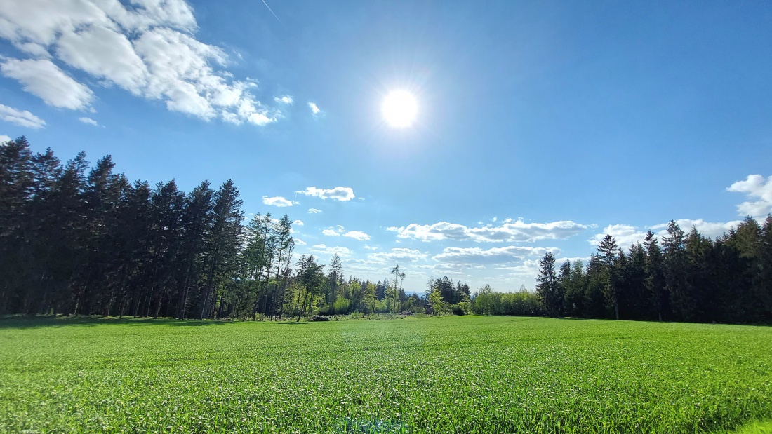 Foto: Martin Zehrer - Ein wunderschöner Vatertag am 9. Mai 2024.<br />
<br />
Das Wetter perfekt, der Himmel blau, die Sonne strahlt und die Temperatur lag bei ca. + 18 Grad. 