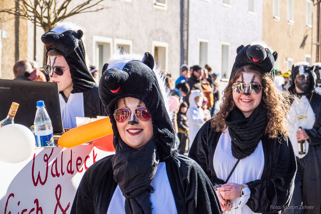 Foto: Martin Zehrer - Fasching in Waldeck 2017... viele Narren, lustiges Volk und Hammer-Wetter :-) 