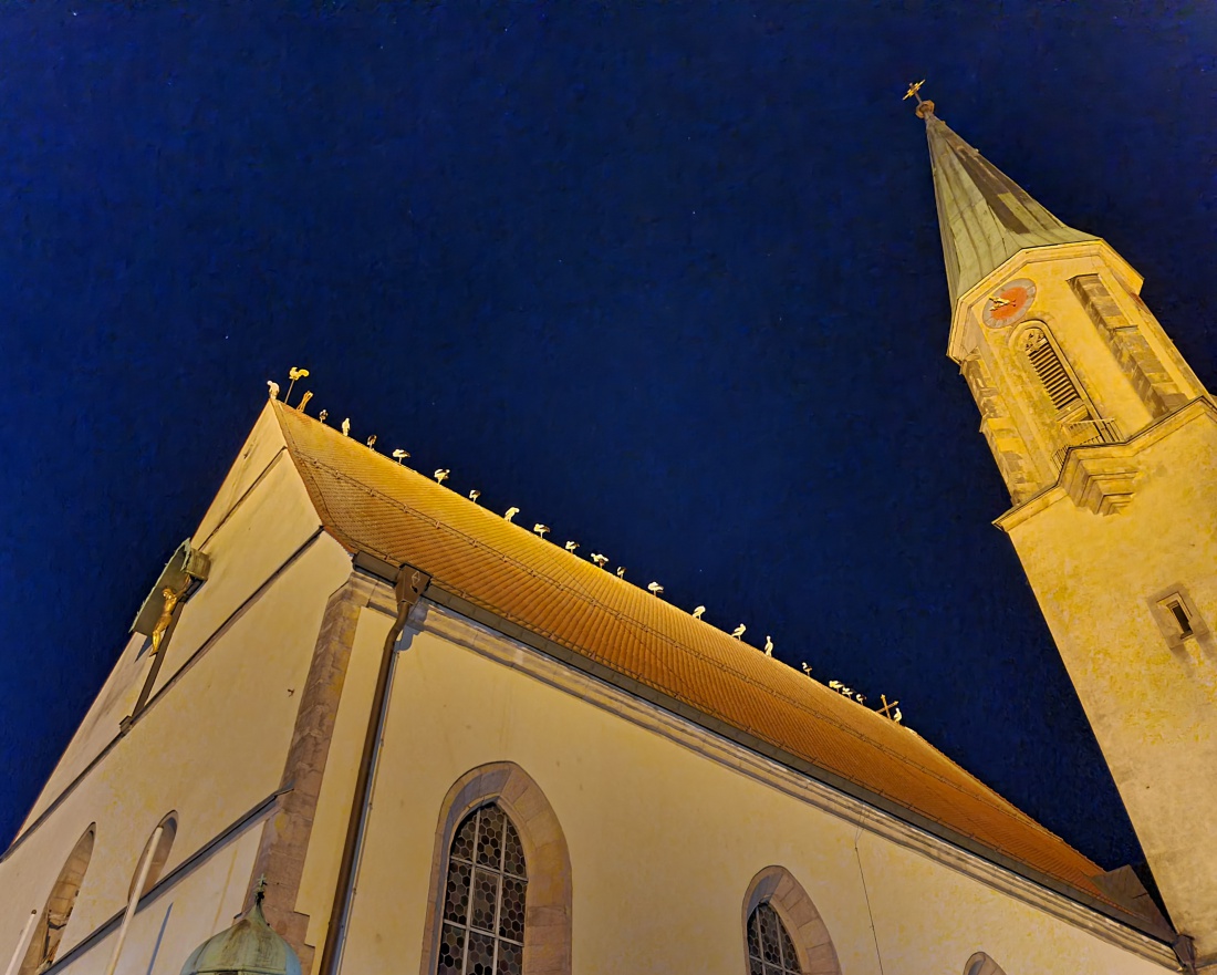 Foto: Jennifer Müller - Ganze 21 Störche übernachten auf dem Dach der Stadtpfarrkirche Kemnath. 