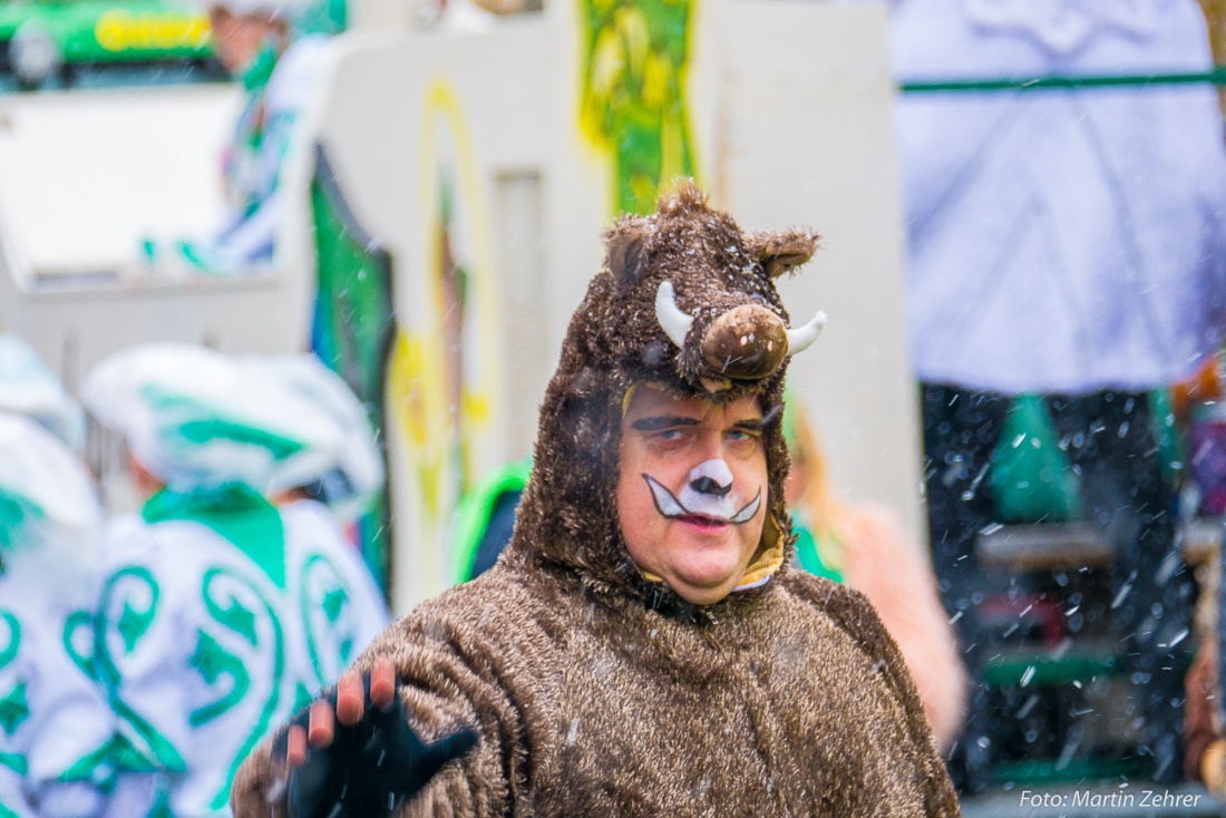 Foto: Martin Zehrer - Gaudi, Gaudi, Gaudi!!! Faschingszug des WCV durch Waldeck am 11. Februar 2018! 