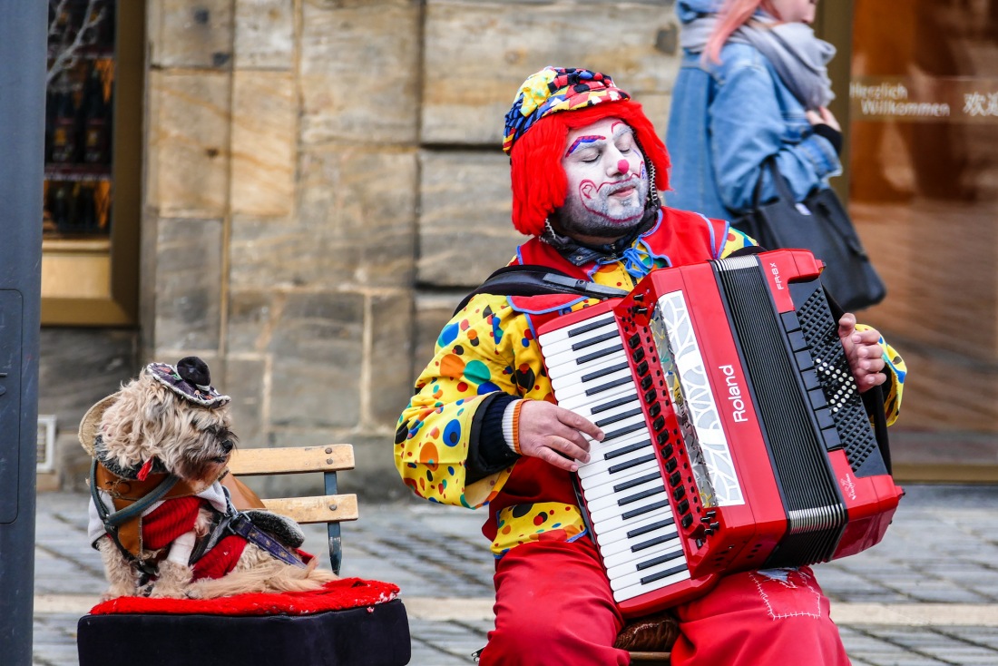 Foto: Martin Zehrer - 18. Februar 2017 in BT: Team-Work Hund und Herrchen machen Musik in Bayreuth 