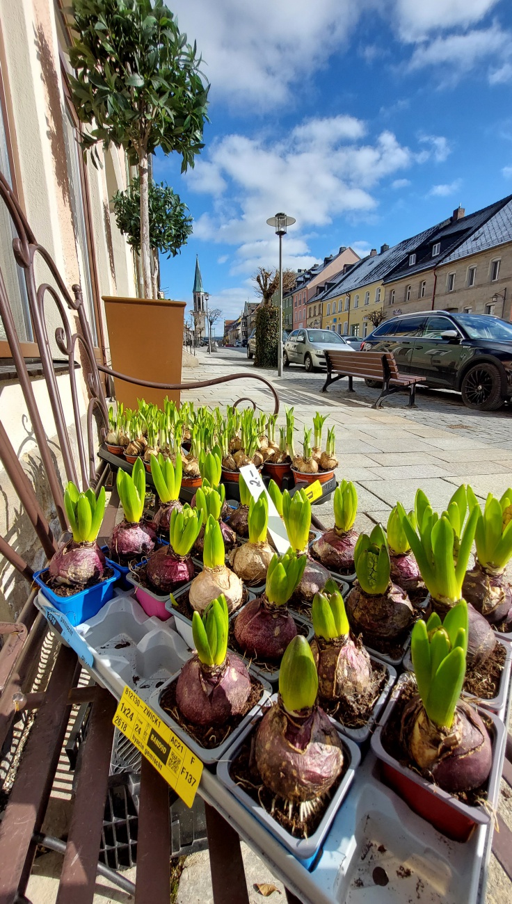 Foto: Martin Zehrer - Frühling vorm Altstadtladl in Kemnath... :-) 