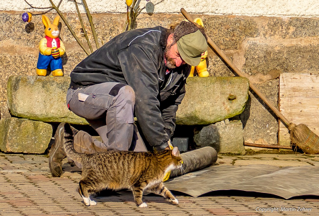 Foto: Martin Zehrer - Teamwork auf Köstlers Bauernhof - Katze hilft Bauer Hermann bei der Hof-Arbeit :-) 