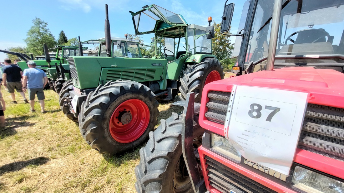 Foto: Martin Zehrer - Oldtimertreffen in Oberwappenöst... Fendt und Co waren auch da! 