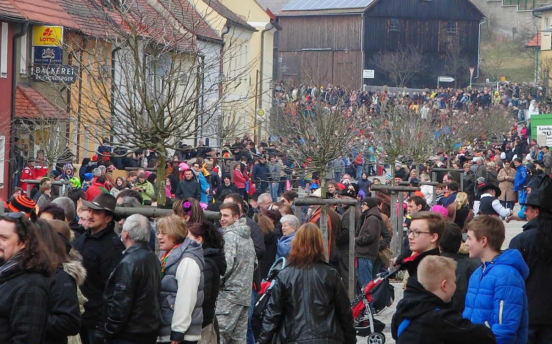 Foto: Martin Zehrer - Unglaublich viele Besucher beim 42. Faschingsumzug durch Waldeck am 2. März 2014 