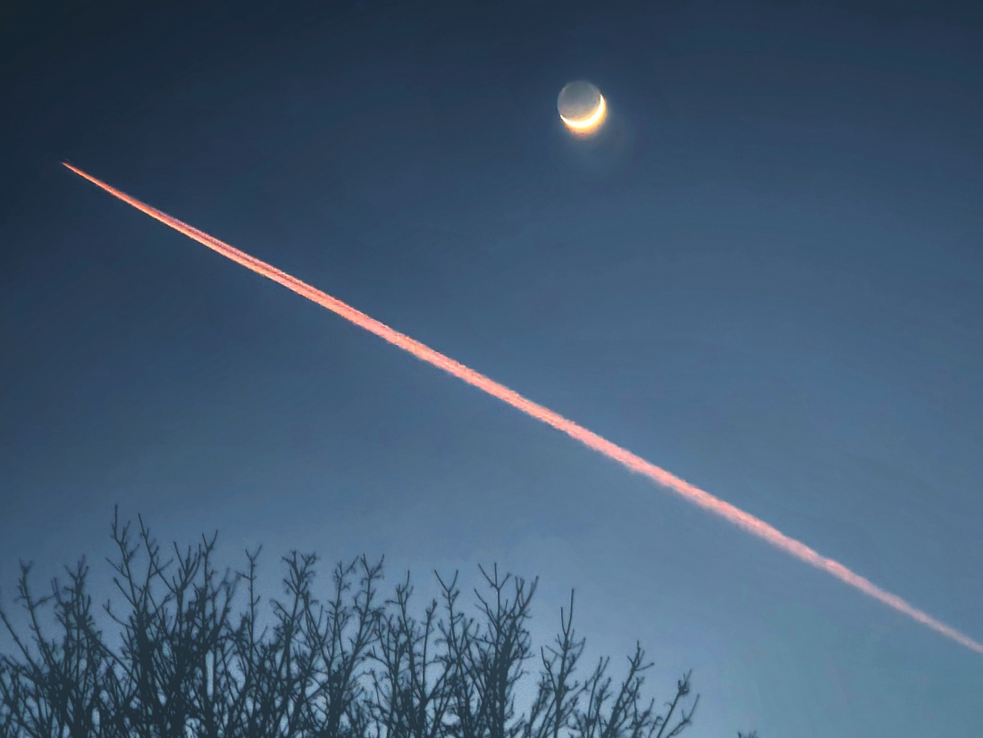 Foto: Jennifer Müller - Ein Flugzeug, ein Baum und der Mond... gute Nacht Kemnath ;-) 