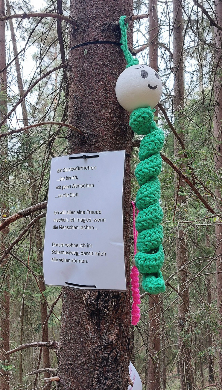 Foto: Martin Zehrer - Ein Glückswürmchen - Der ist aber neu, entdeckt auf dem Wanderpfad zur Gänskopfhütte hinauf. 