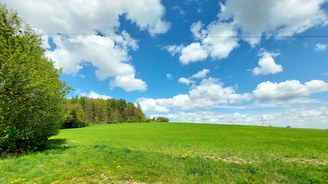 Foto: Martin Zehrer - Frühlings-Paradies Armesberg 