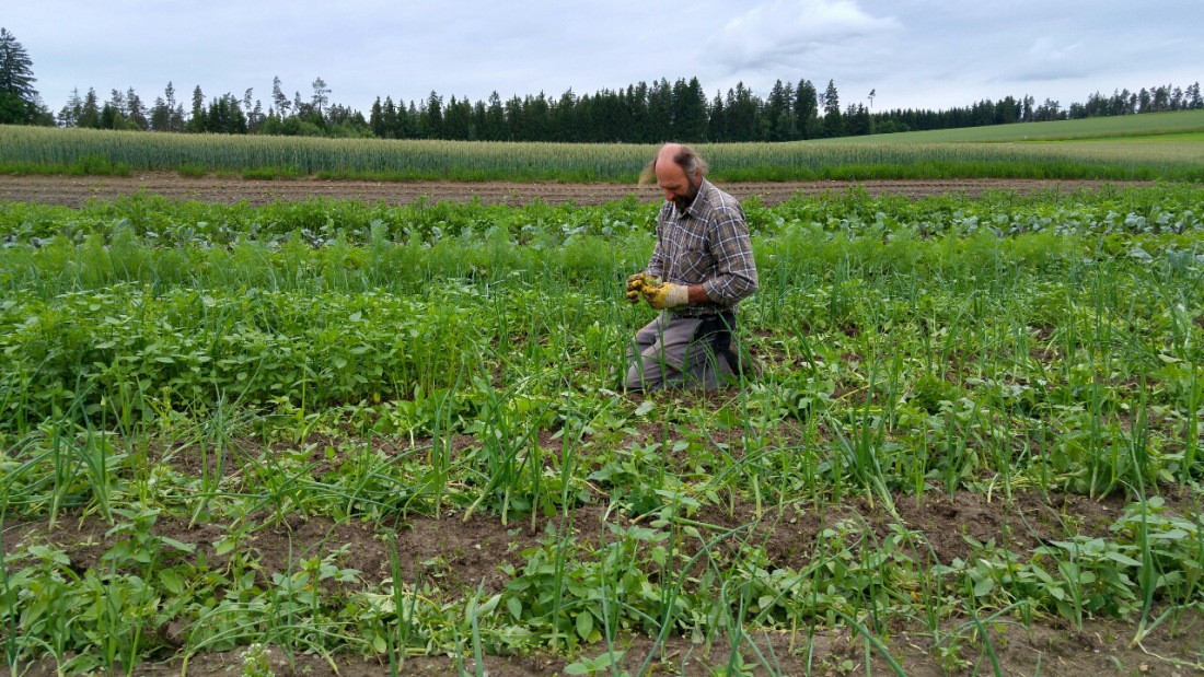 Foto: Martin Zehrer - Hermann auf dem Acker 