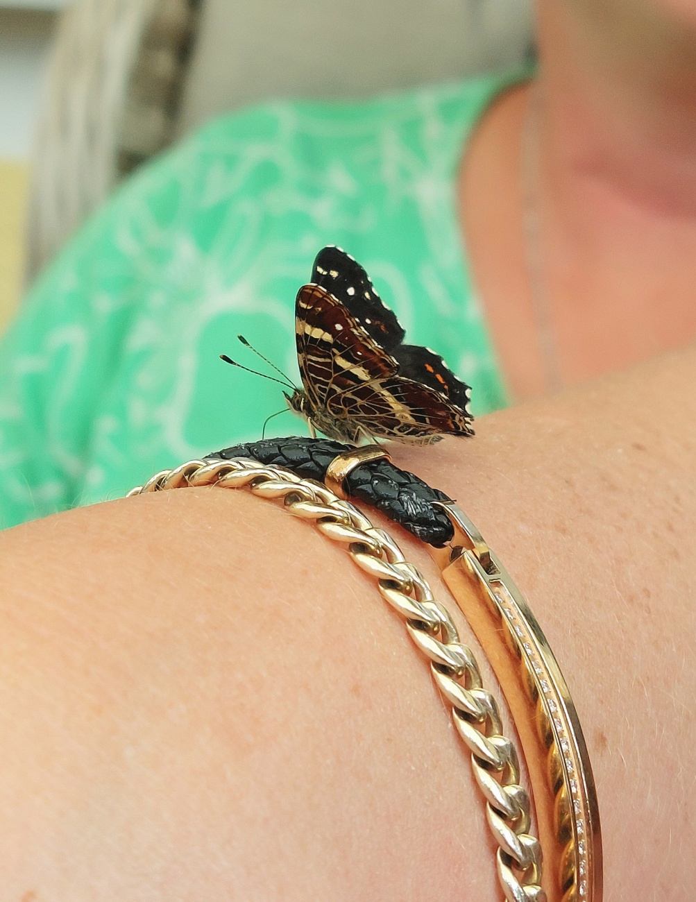 Foto: Martin Zehrer - Anziehend! Ein Schmetterling sitzt seit mehreren Minuten auf dem Arm meiner Prinzessin...<br />
<br />
<br />
Der Schmetterling auf dem Bild sieht aus wie ein Landkärtchen (Araschnia le 