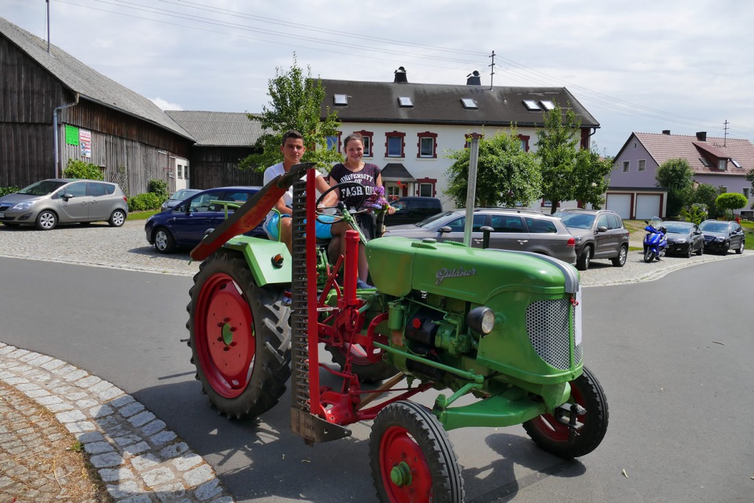 Foto: Martin Zehrer - Ein Güldner mit Messerbalken in Oberwappenöst. 